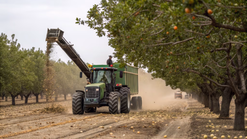 Essa máquina chacoalha a árvore e colhe 300 toneladas de pistache em uma semana