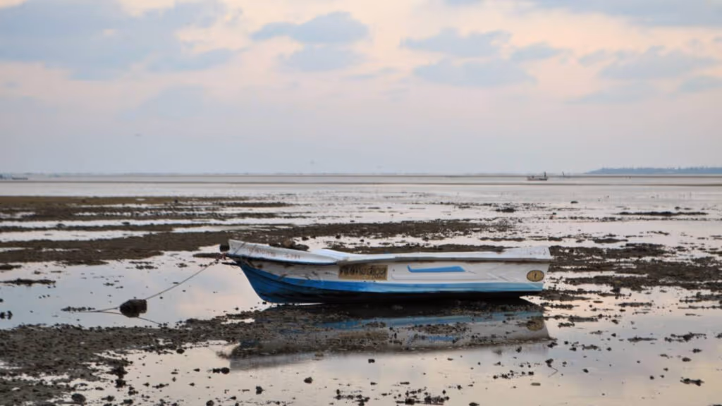 Para onde vai a água do mar quando a maré baixa e por que o nível do oceano muda