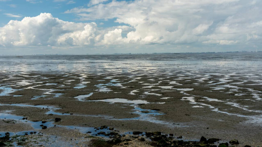 Para onde vai a água do mar quando a maré baixa e por que o nível do oceano muda