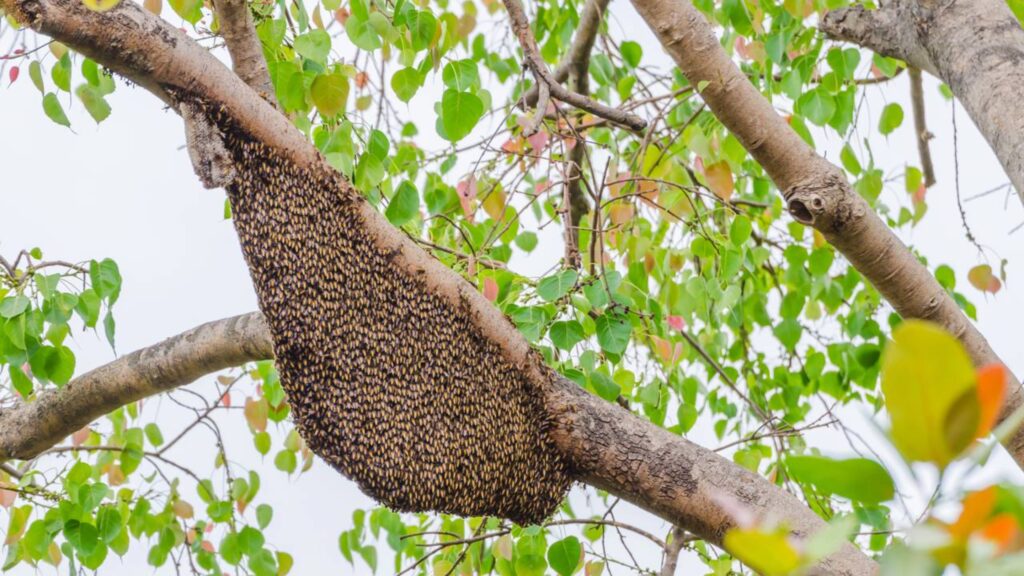 O trabalho mais perigoso da Terra expõe pessoas a riscos que poucos imaginam