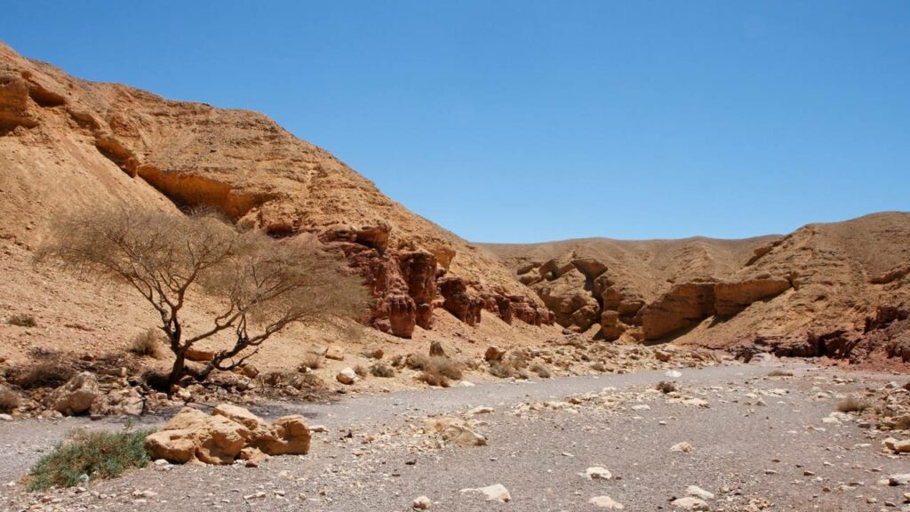 Esse país pegou água do mar e criou um rio gigante no deserto