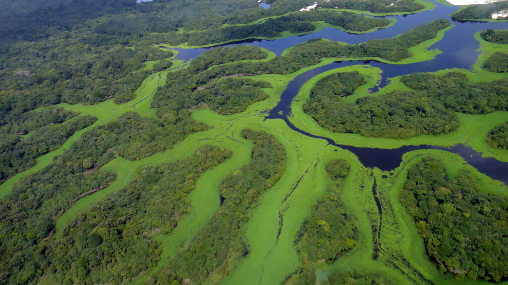O labirinto de 400 ilhas que desaparece e ressurge conforme a estação: o segundo maior arquipélago fluvial do mundo fica no Brasil