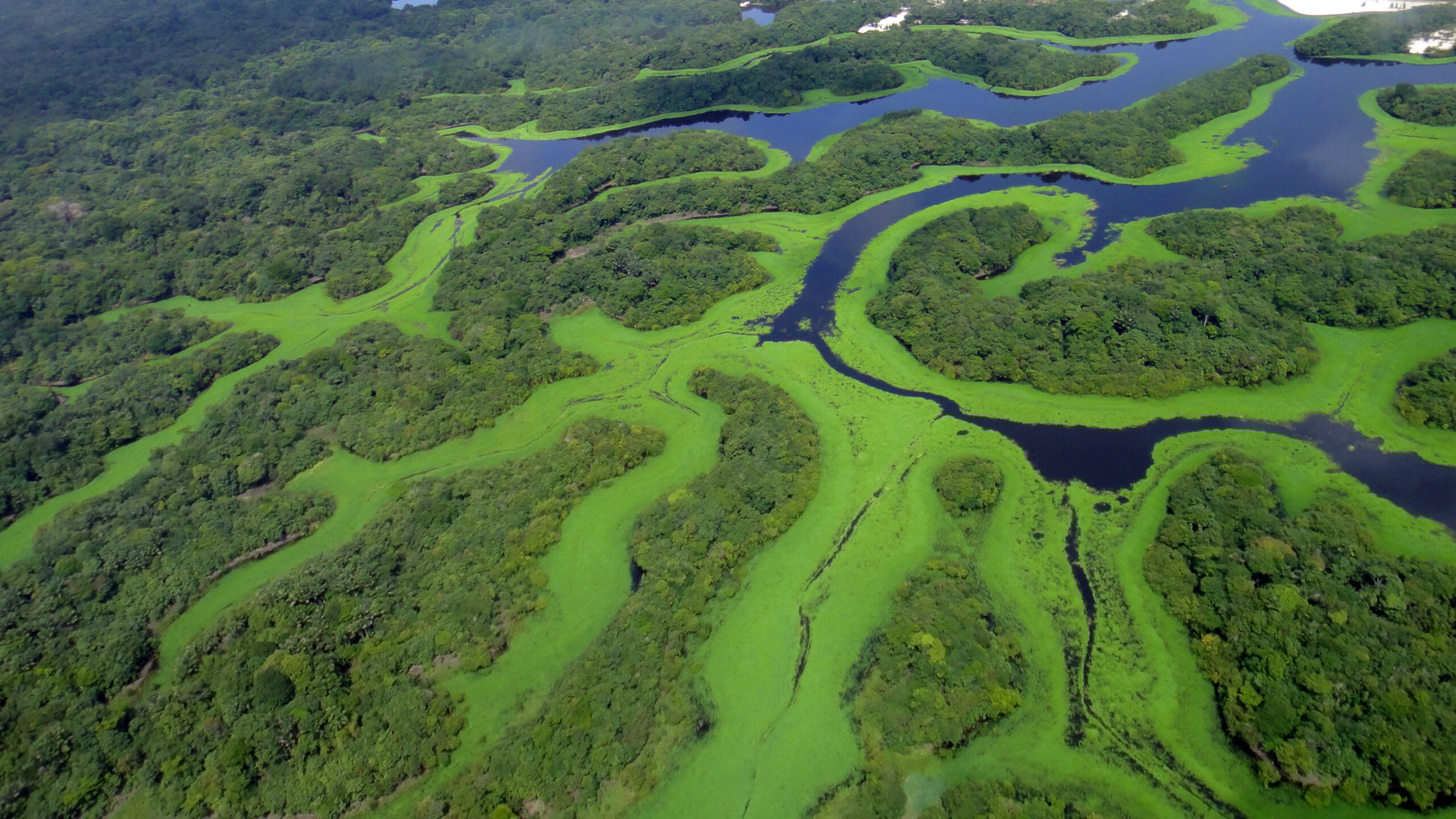 O labirinto de 400 ilhas que desaparece e ressurge conforme a estação: o segundo maior arquipélago fluvial do mundo fica no Brasil
