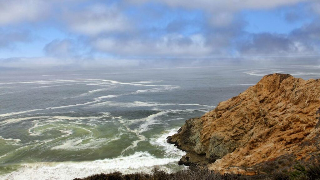 Qual a diferença entre oceano e mar? E por que essa dúvida é mais comum do que parece