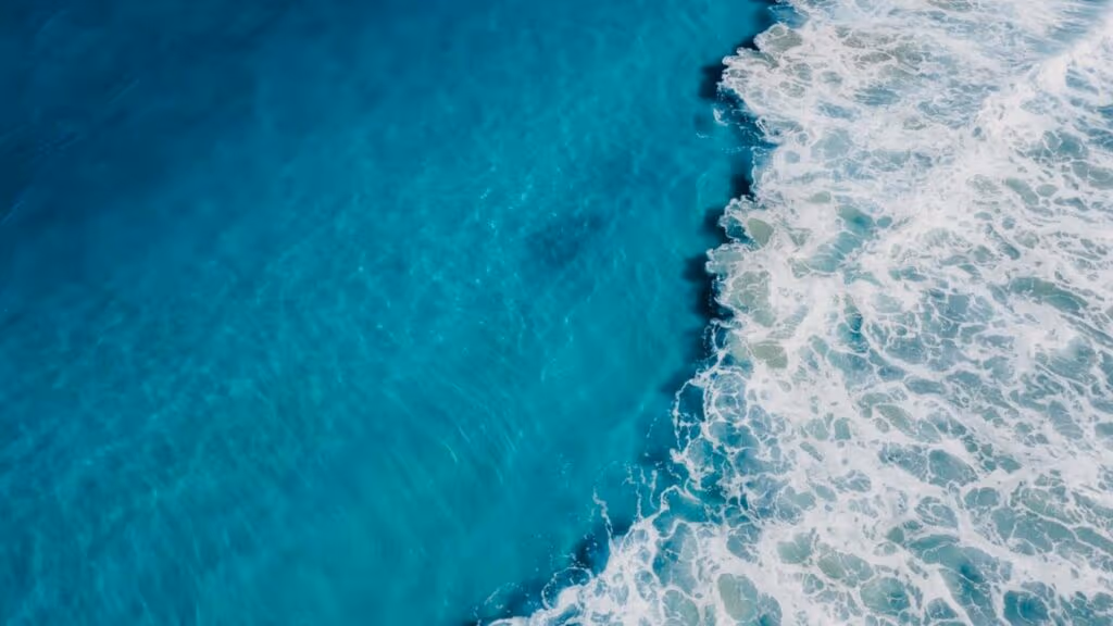 O fundo do mar pode ser o lugar mais estranho da Terra e quase ninguém percebe isso