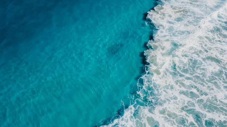 O fundo dos nossos oceanos são tão assustadores quanto muitos filmes por aí - Créditos: depositphotos.com / Keola