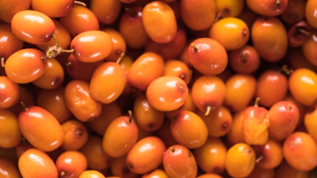 Essa frutinha substitui 4 suplementos de uma vez só