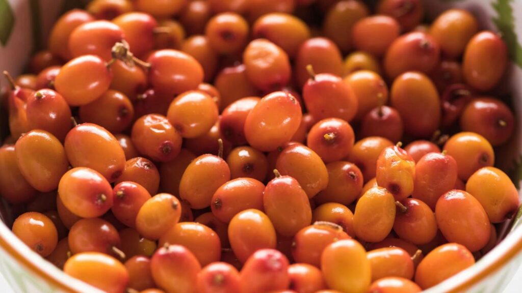 Essa frutinha substitui 4 suplementos de uma vez só