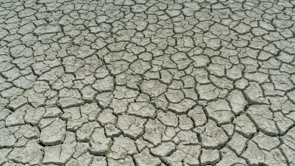 Esses buracos em formato de sorriso salvaram o deserto no Quênia