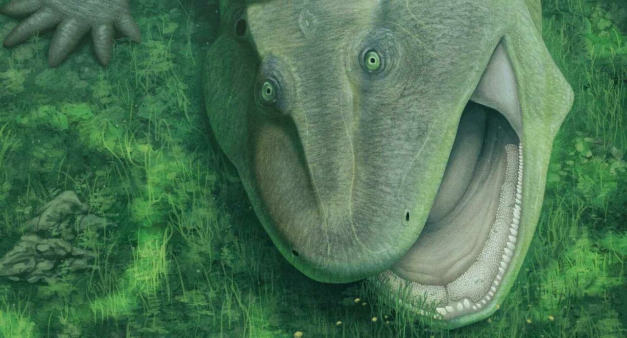 O estranho fóssil de mandíbula torta descoberto na Amazônia