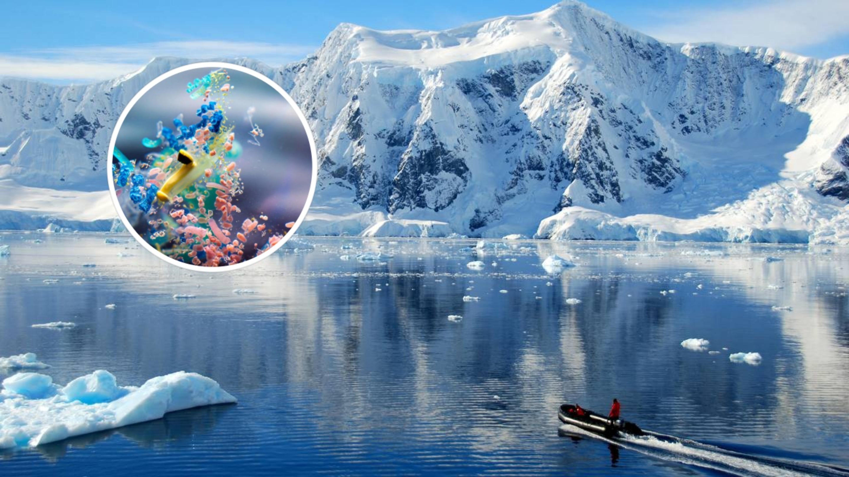 Cientistas identificam microplásticos pela primeira vez na Ilha Deception, na Antártica