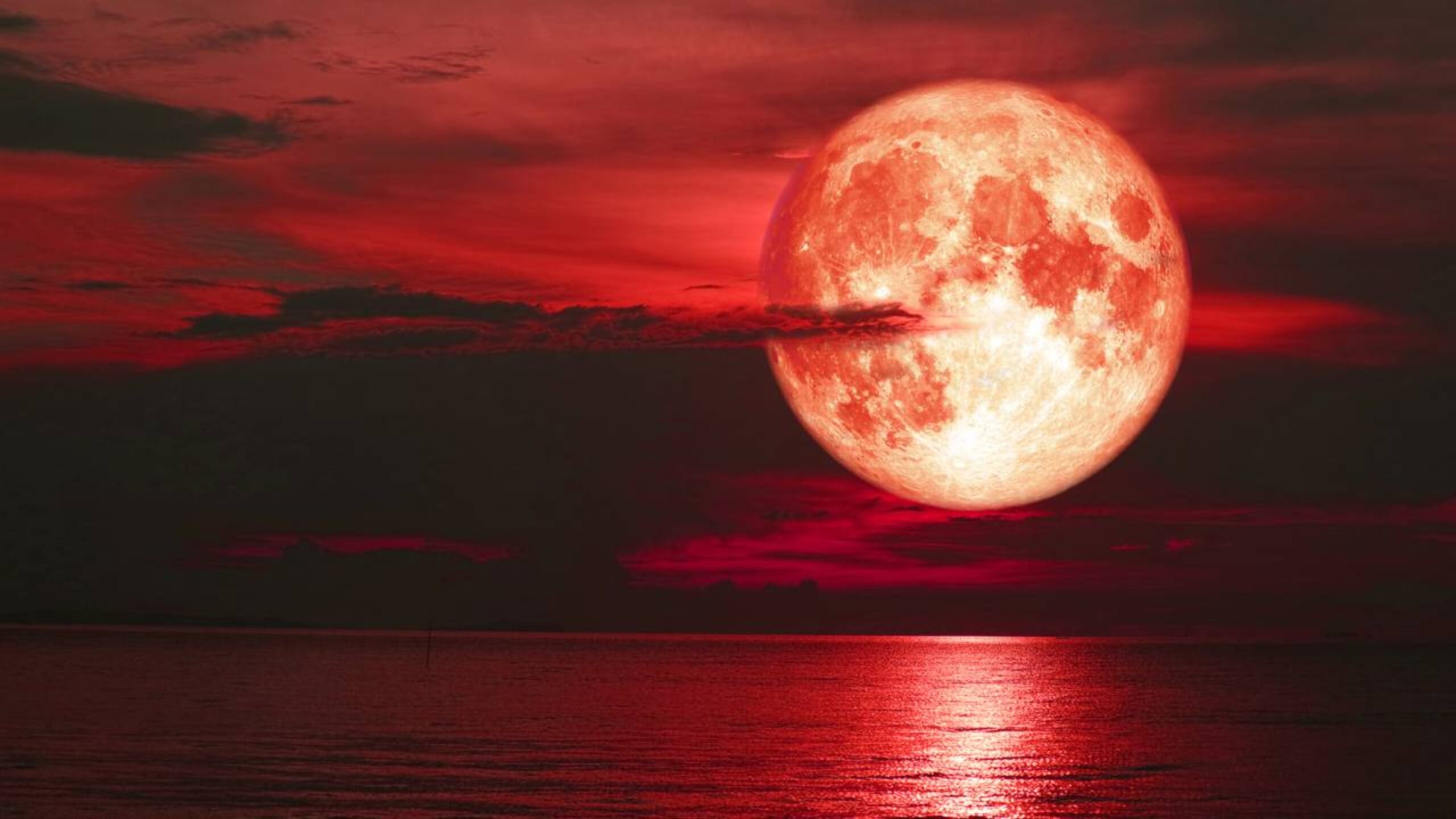 Esquece o eclipse: a “Lua Cheia da Minhoca” promete iluminar o mar com um brilho intenso e estas são os melhores locais para tirar a foto perfeita