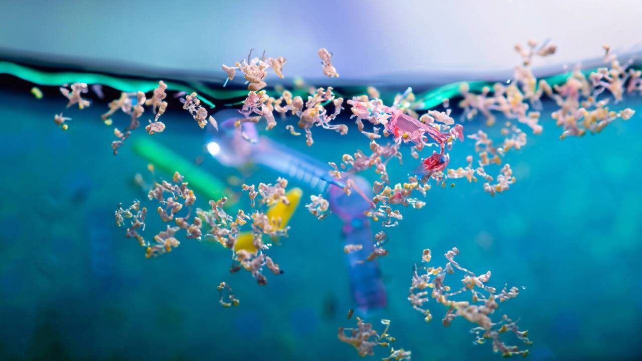 Estudante cria sistema revolucionário que remove 96% dos microplásticos da água potável
