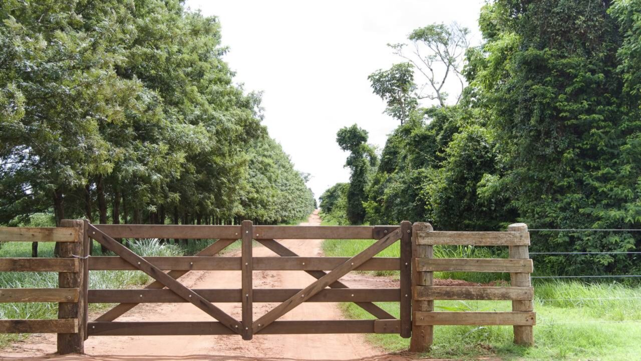 Idosa instalou um portão no acesso à sua casa de fazenda e o Conselho Municipal a obriga a removê-lo a razão tem origem em 1986