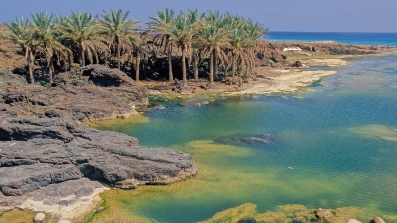 Ilha de Socotra é considerada um dos lugares mais estranhos do planeta