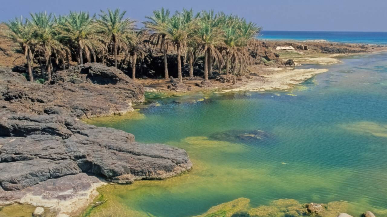 Ilha de Socotra é considerada um dos lugares mais estranhos do planeta