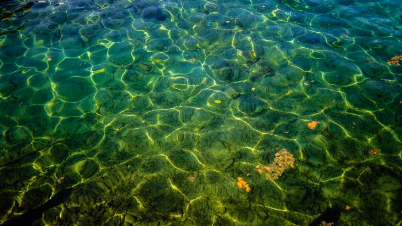 Lagos Submarinos misteriosos intrigam cientistas e revelam ambientes extremos no fundo do mar