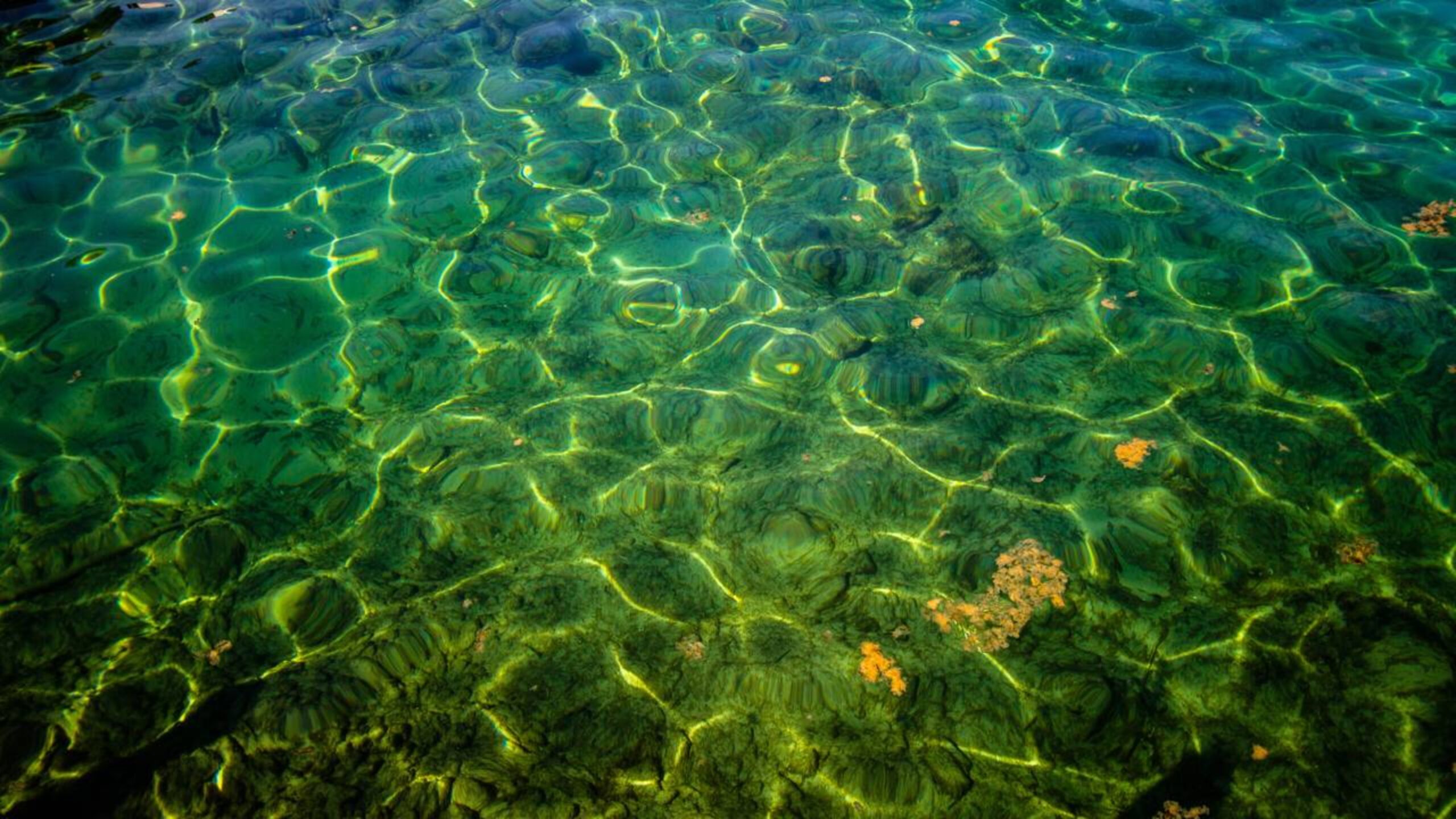 Lagos Submarinos misteriosos intrigam cientistas e revelam ambientes extremos no fundo do mar
