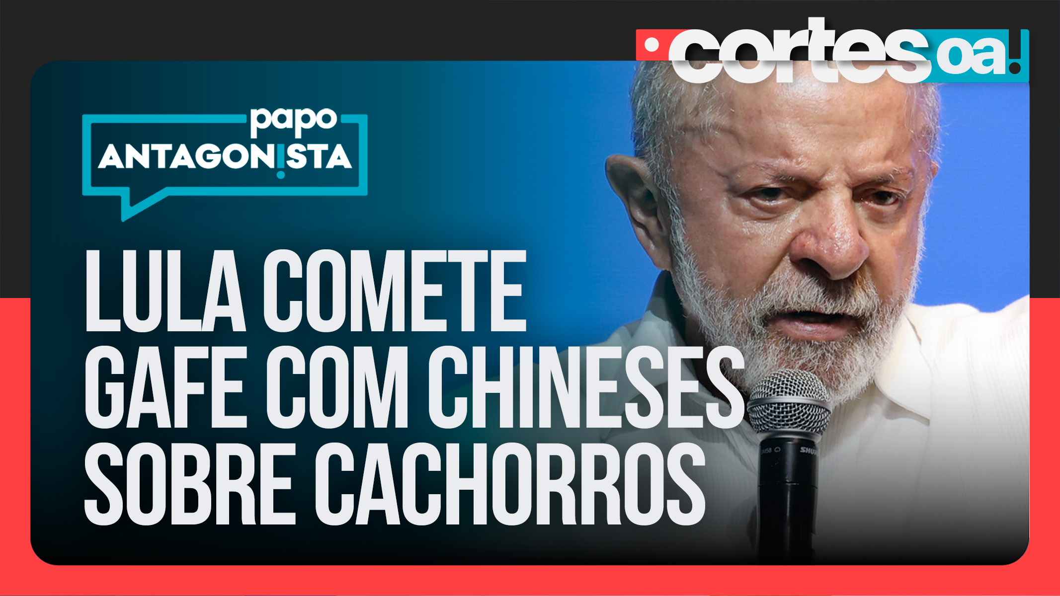 Lula fala sobre gastos com cachorros em evento com empresários chineses