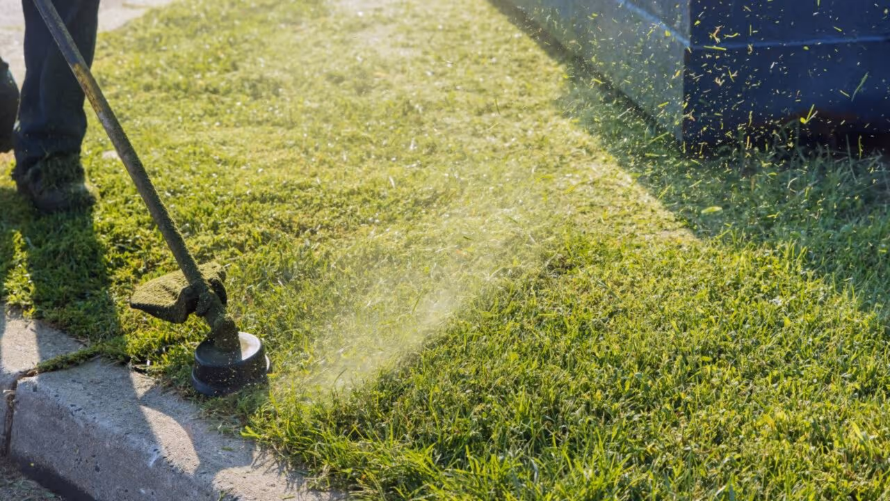 Más notícias para os proprietários: a partir de 15 de março, está proibido cortar a grama do jardim entre o meio-dia e as 16h, podendo haver multas
