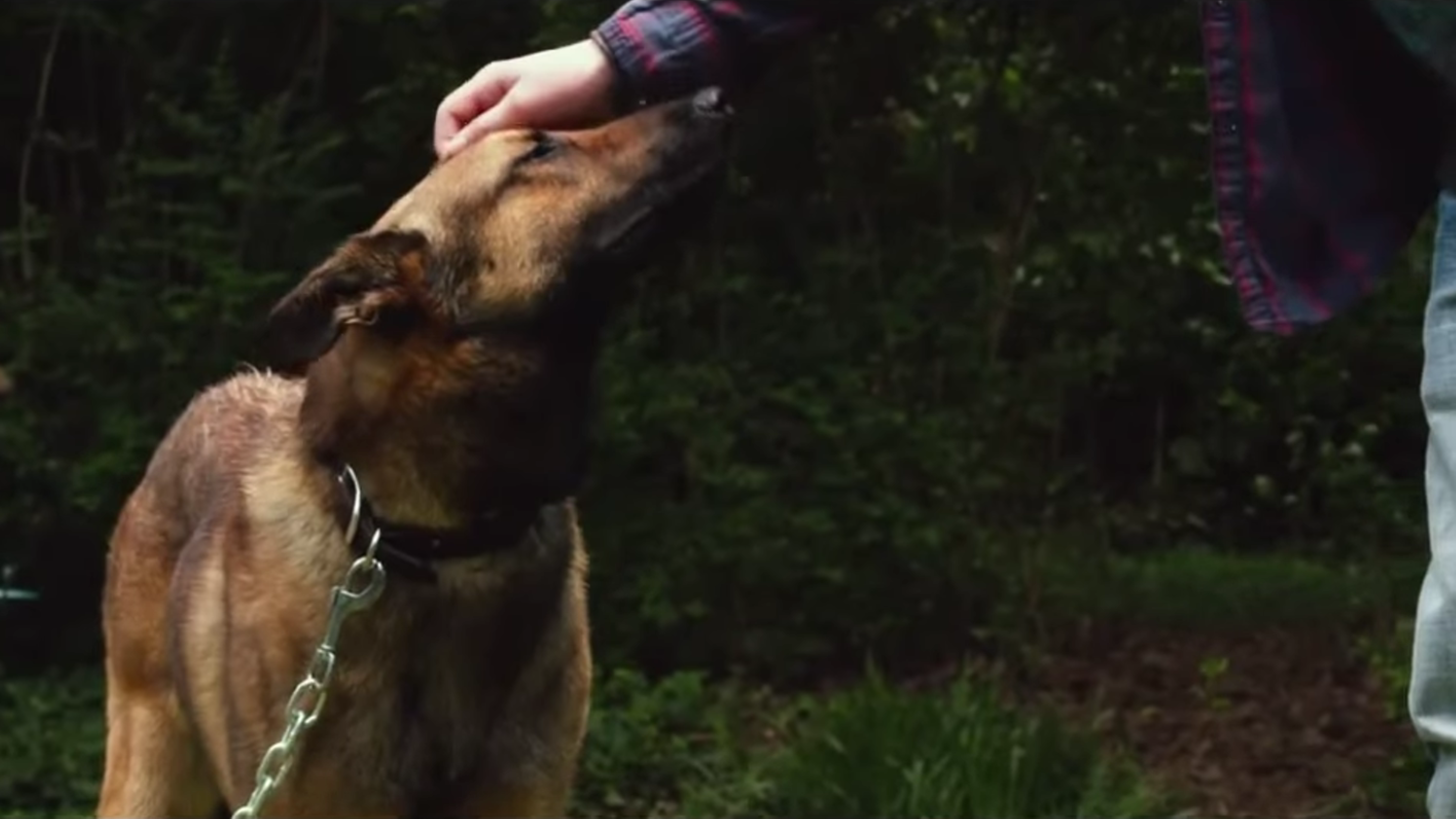 Esse filme na Netflix que mexe com luto e recomeço sem exageros e virou sucesso