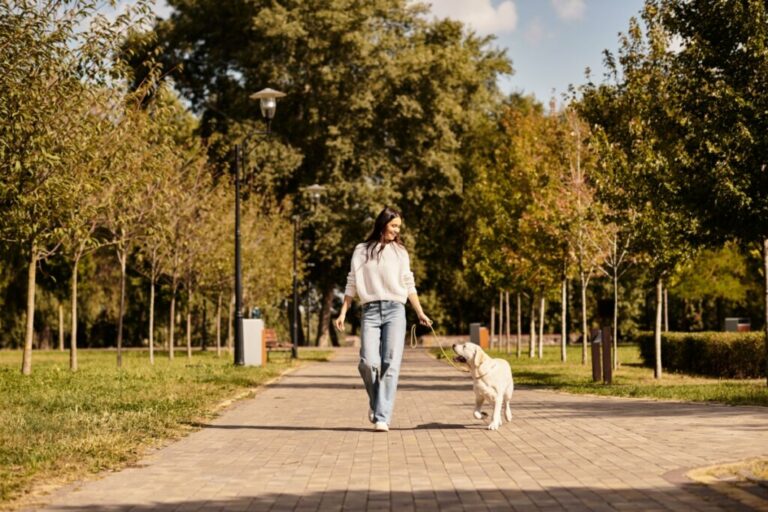 Cachorro bravo: 6 dicas para melhorar o comportamento do animal 