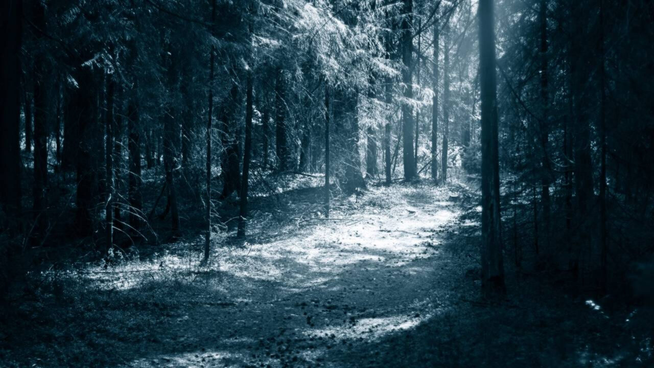 O ponto misterioso da Terra onde algo estranho acontece com a gravidade e quase ninguém entende