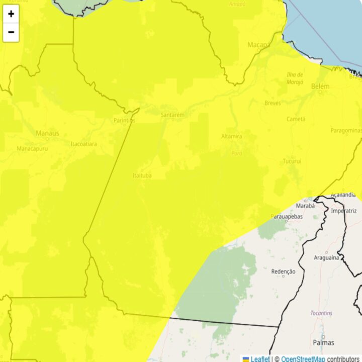 O Instituto Nacional de Meteorologia (INMET) emitiu um alerta de chuvas intensas válido entre as 00h01 e as 23h59 desse domingo, 29.