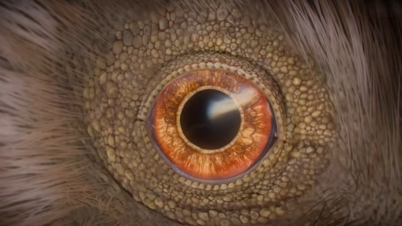 A série “Os dinossauros” na Netflix traz Steven Spielberg de volta ao universo que marcou Jurassic Park