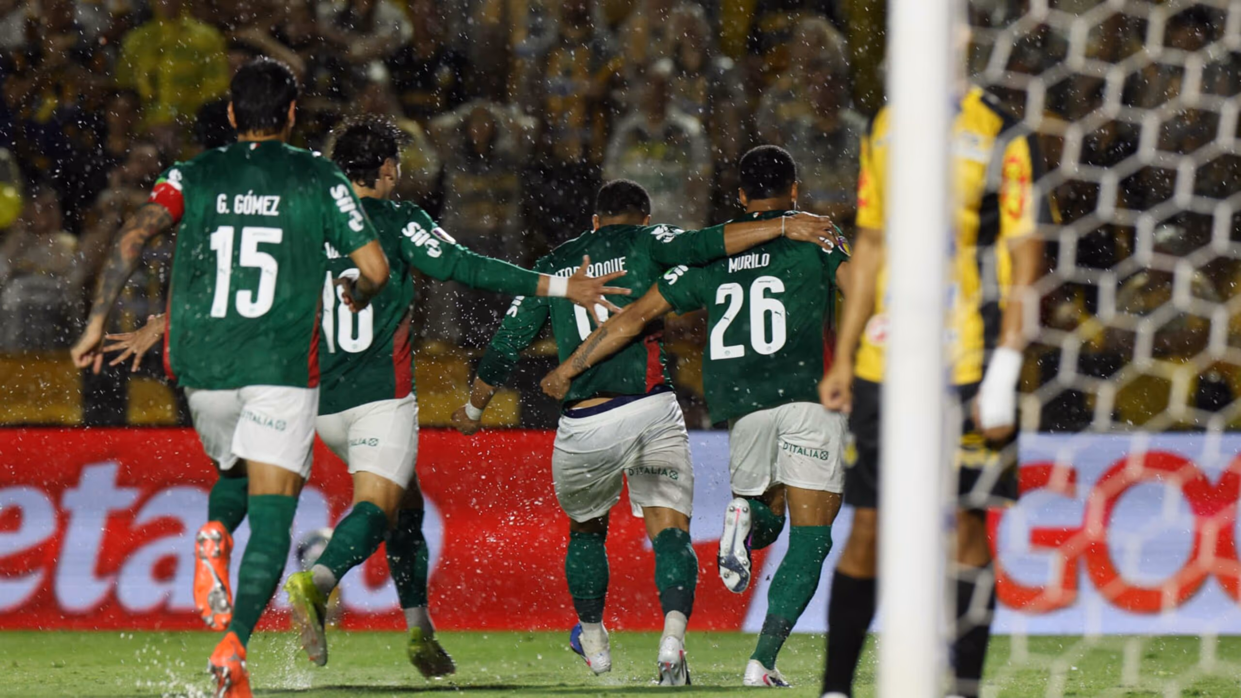 Palmeiras faz valer favoritismo, vence o Novorizontino e é campeão Paulista