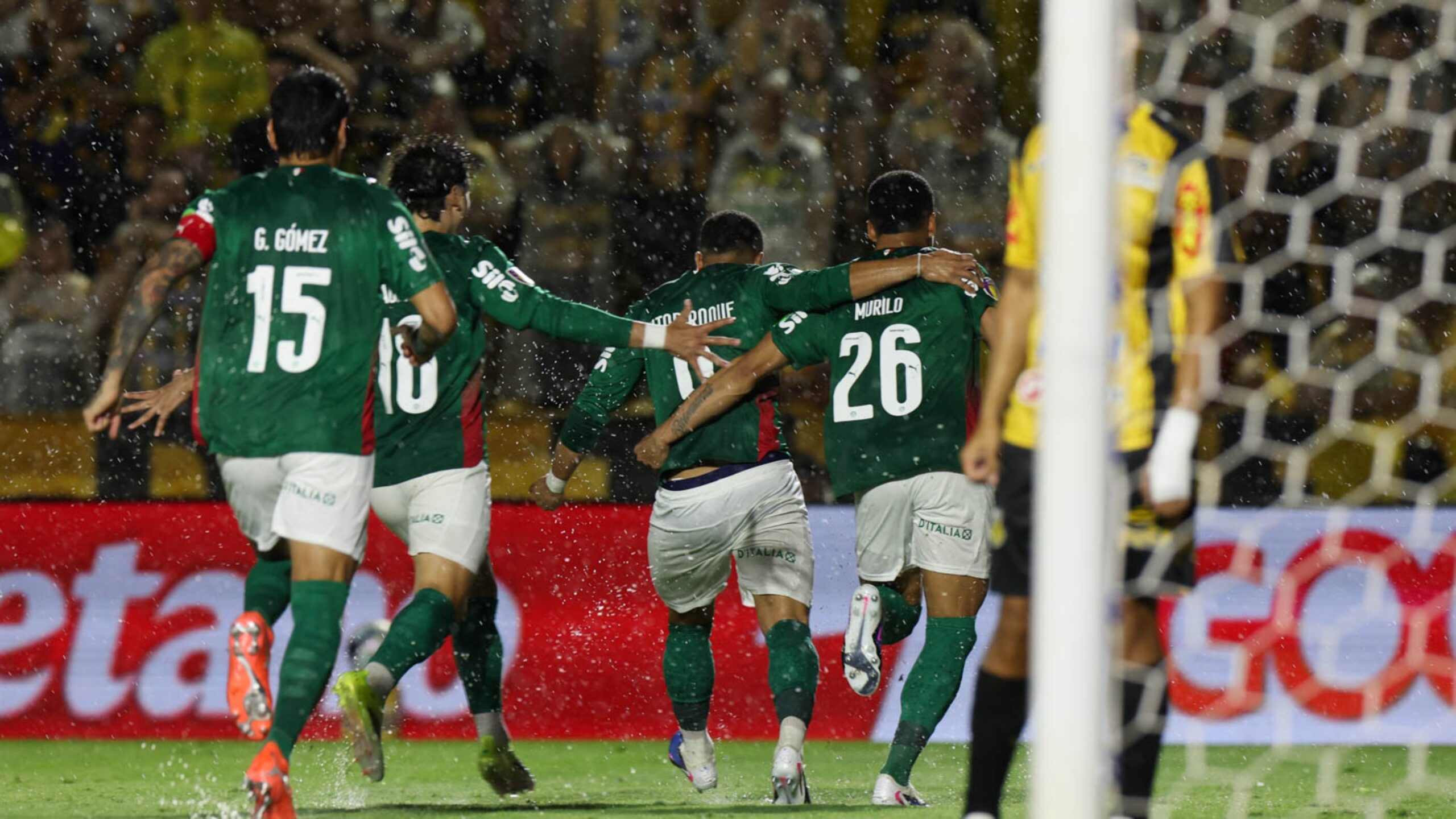 Palmeiras faz valer favoritismo, vence o Novorizontino e é campeão Paulista