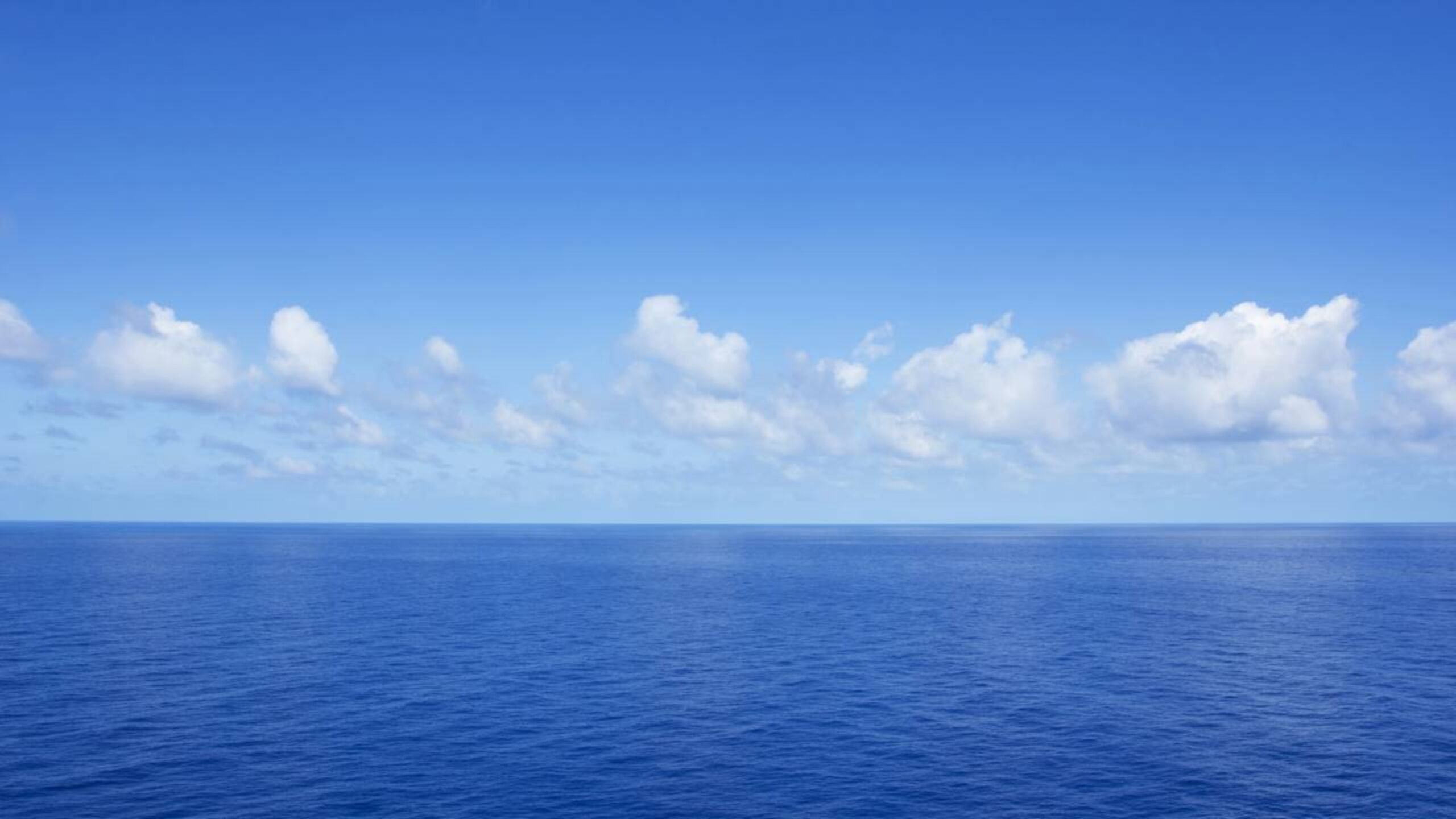 Pesquisadores brasileiros atingiram profundidade recorde em expedição no Atlântico Sul