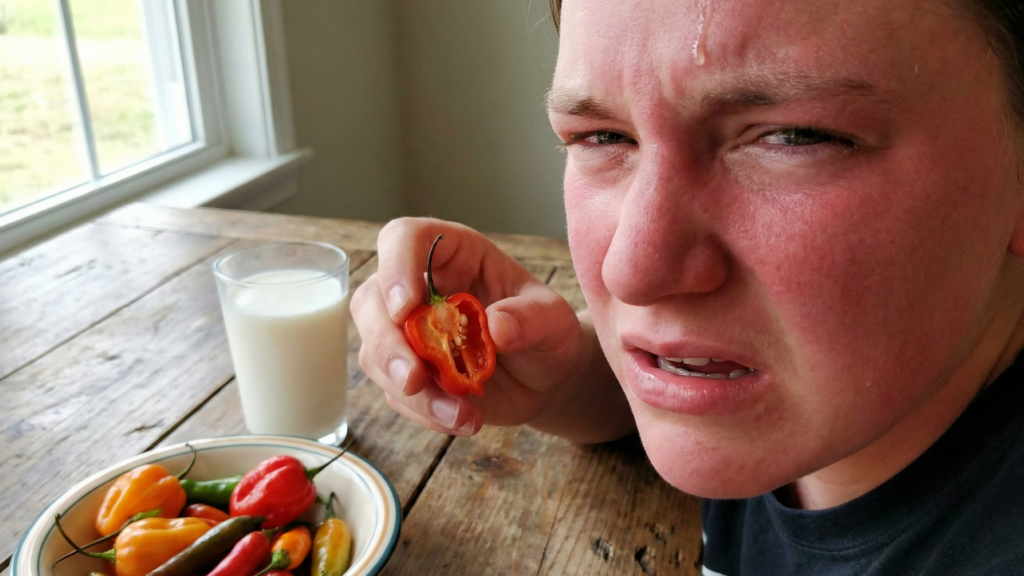 Temperos “enganam” o cérebro: por que ardência não é sabor e como capsaicina e mentol viram sensação
