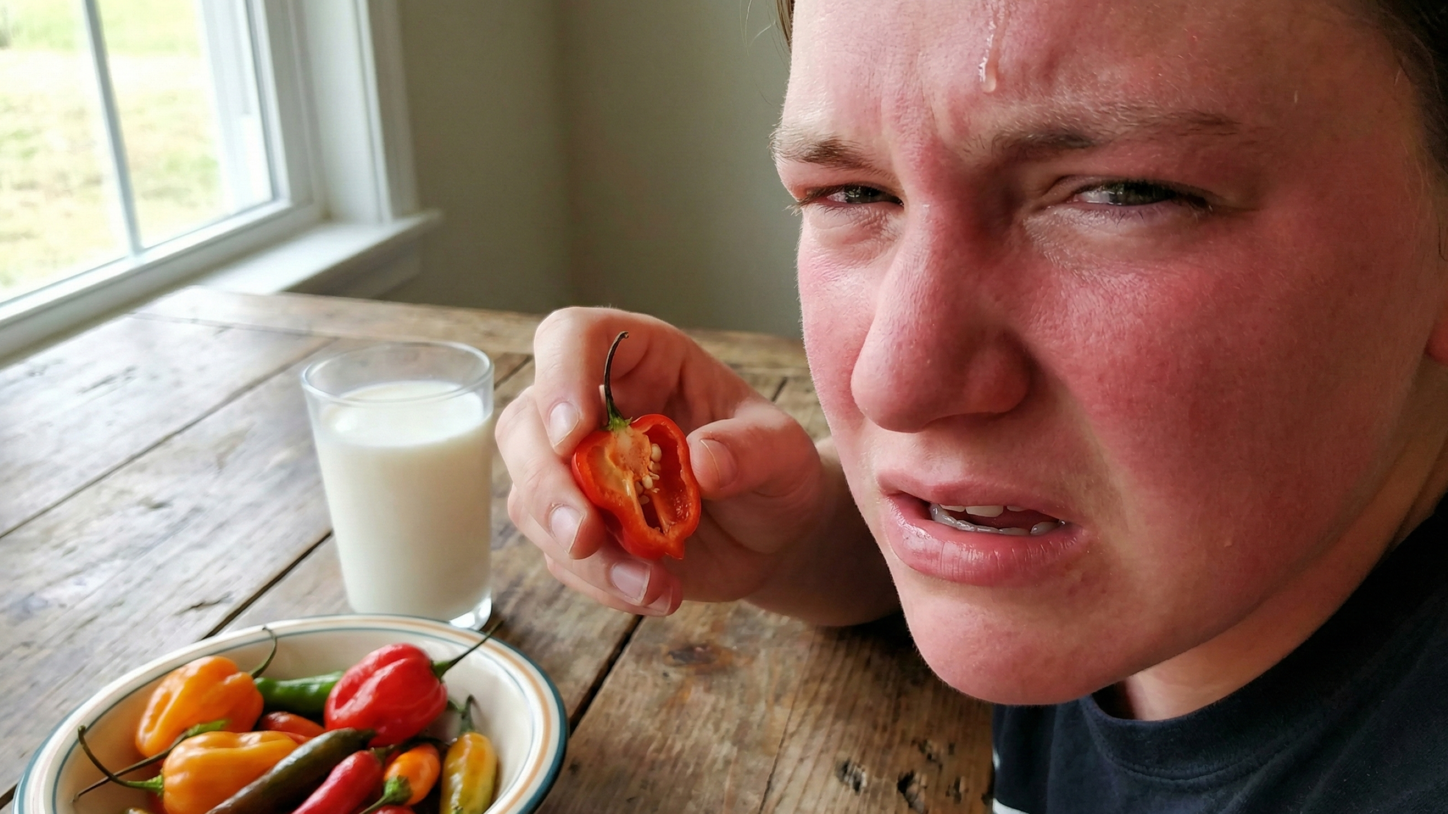 Temperos “enganam” o cérebro: por que ardência não é sabor e como capsaicina e mentol viram sensação