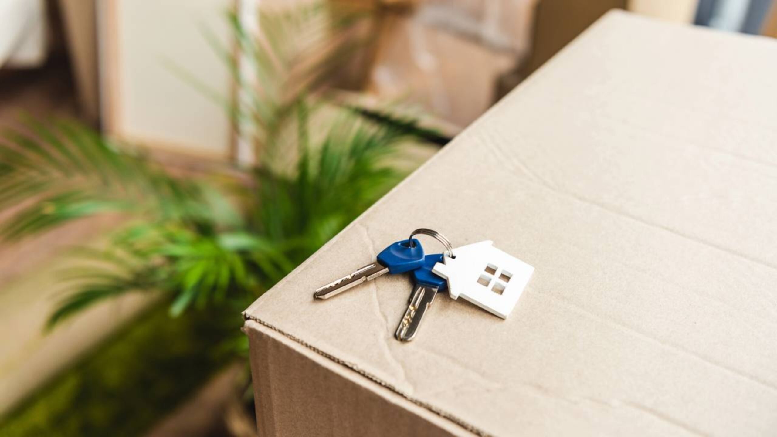 Proprietários devem ficar atentos: os inquilinos poderão ficar para sempre no aluguel se o contrato incluir essa cláusula