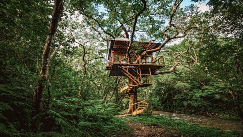 Resort sustentável construído entre as árvores é simplesmente incrível