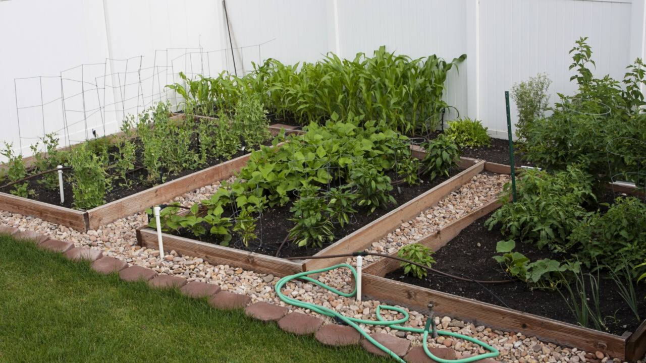 Sistema de horta para alimentar a família o ano todo está ajudando muitas pessoas a produzir comida em casa