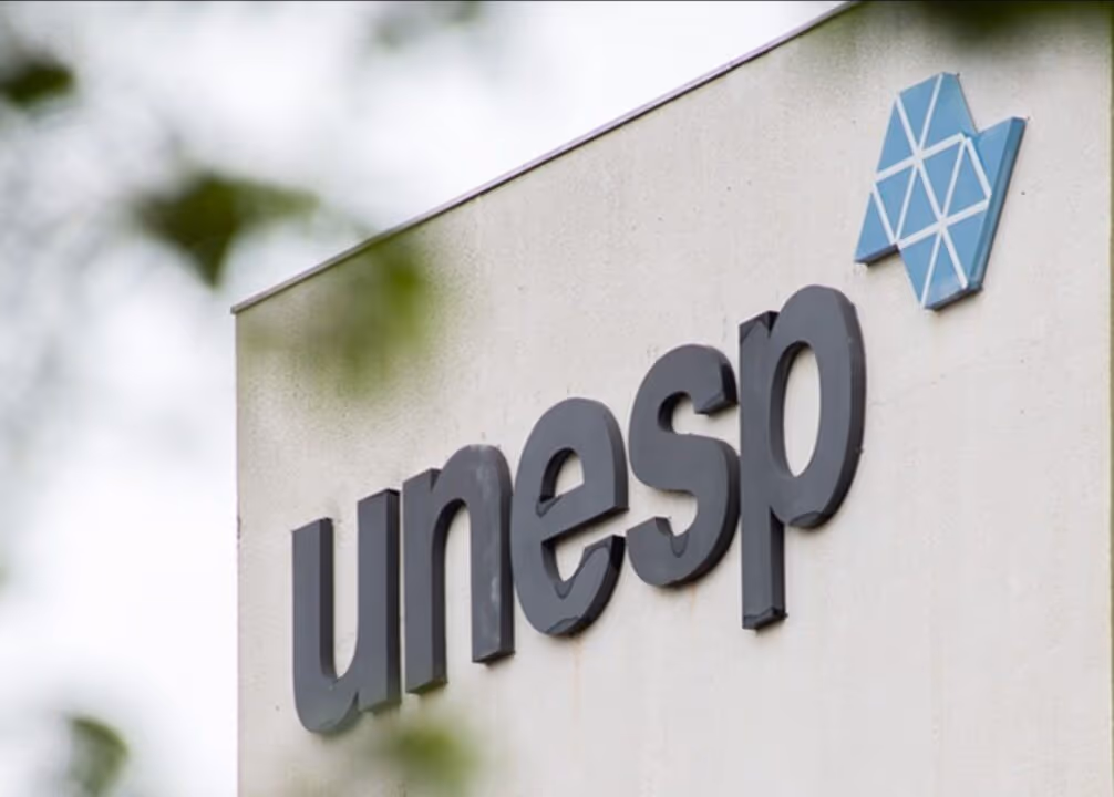 Unesp ganha prêmio do Google por ferramenta de IA jurídica