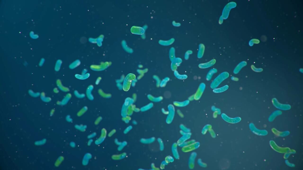 Despertaram uma bactéria de 5.000 anos e ela já é imune a 10 antibióticos modernos