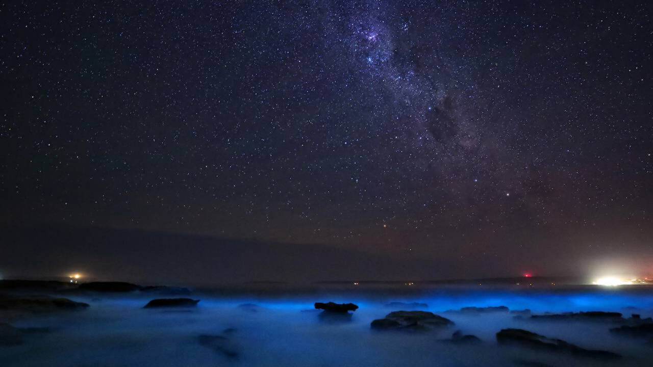 Praias que brilham à noite criam um espetáculo natural conhecido como mar de estrelas