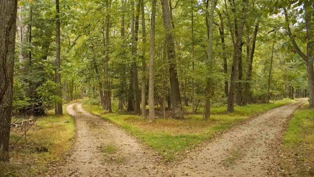 Provérbio japonês: “Se você está com pressa, pegue o caminho mais longo.”