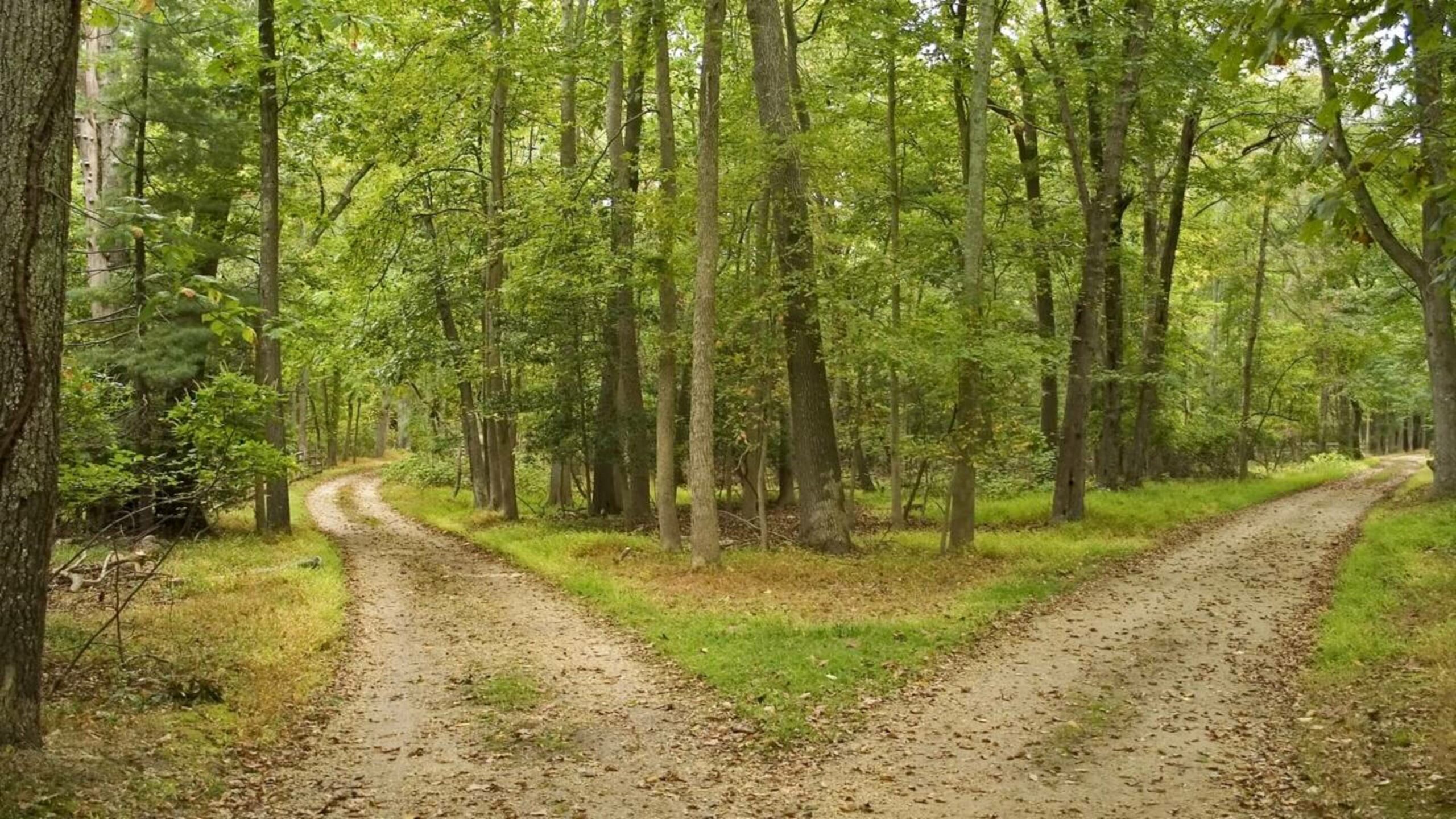 Provérbio japonês: “Se você está com pressa, pegue o caminho mais longo.”