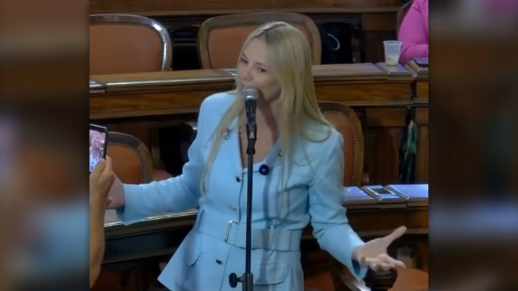 “Parece que é crime no Brasil ser branco”, diz vereadora de Niterói