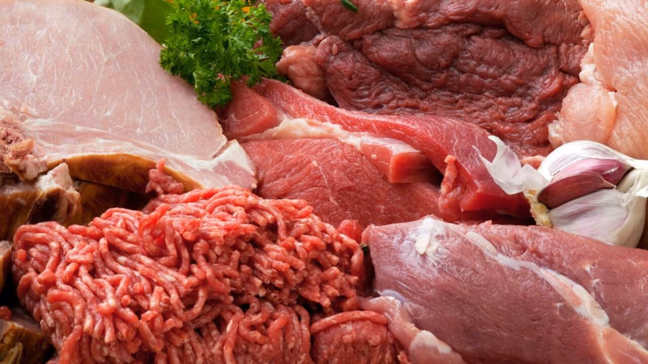 Fungos viram “carne” em laboratório e prometem abalar a indústria da proteína