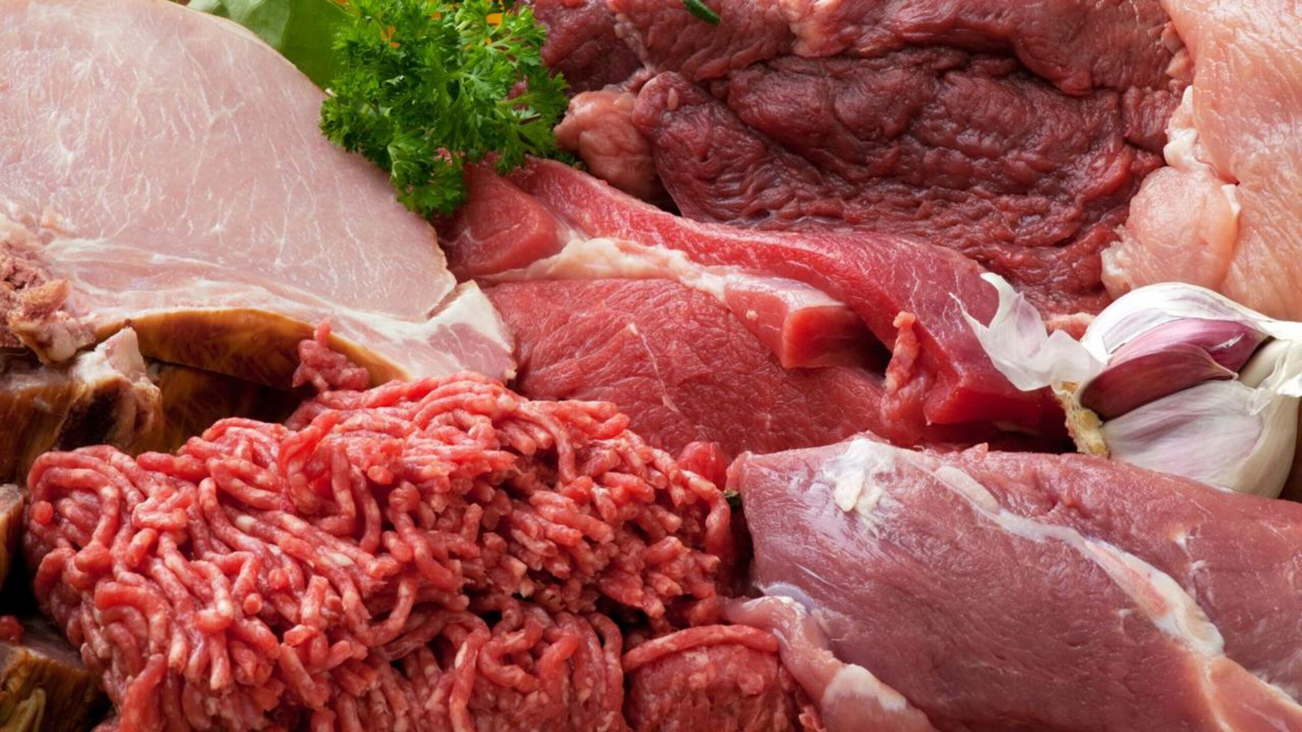 Fungos viram “carne” em laboratório e prometem abalar a indústria da proteína