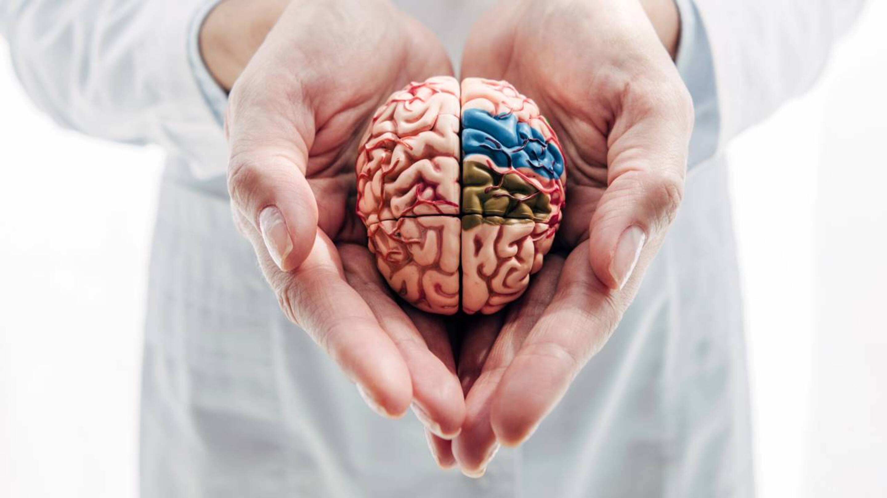 Hábitos que revelam que você tem um QI abaixo da média