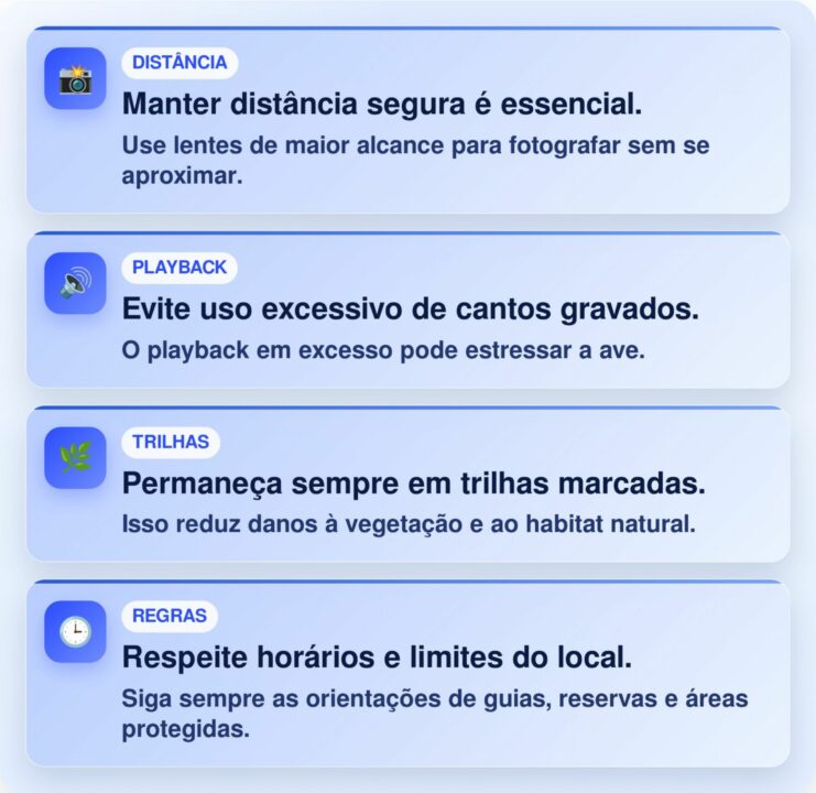 Gavião-pega-macaco de até 1,3 kg aparece na Costa Rica e mostra por que a ave quase nunca é vista