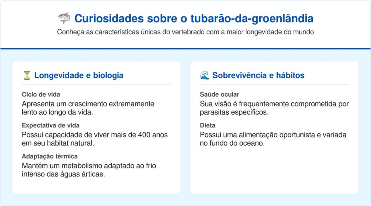 O tubarão que vive mais de 400 anos nas águas da Groenlândia