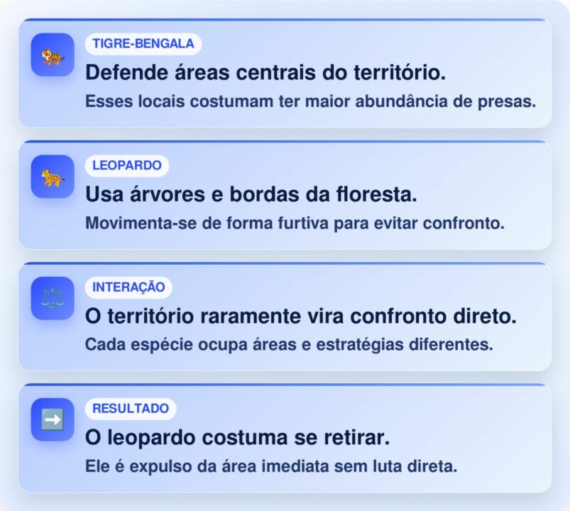 Leopardo sobe em árvore e escapa de virar lanche de tigre no último momento