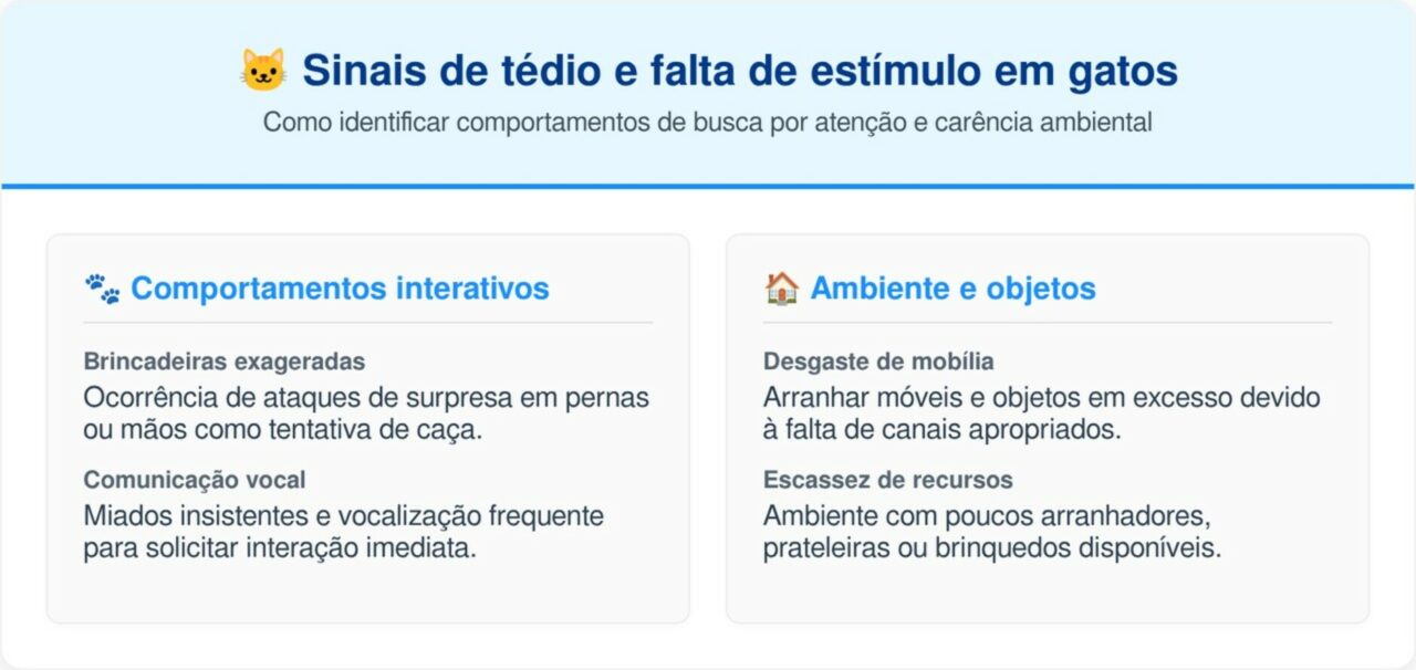 O que significa seu gato ficar te seguindo o tempo todo?